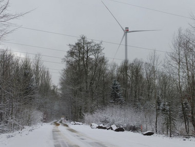 Eine Vestas V 126 erhebt sich über den Wald