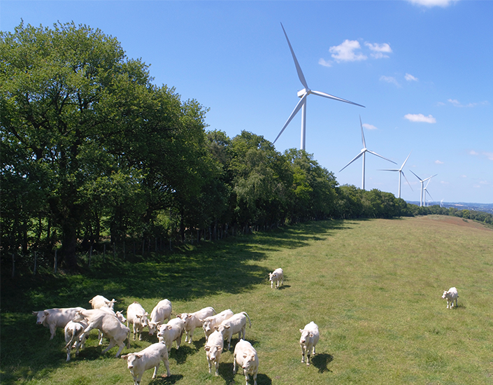 Actualité VSB énergies nouvelles développeur projets Enr renouvelables éolien photovoltaïque hydroélectrique