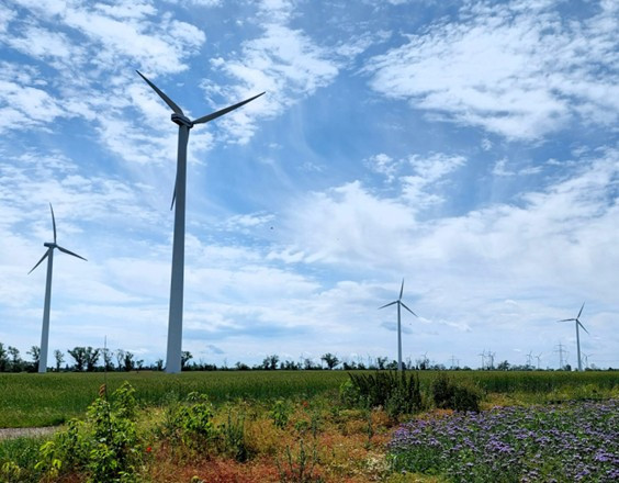 Windräder auf einer grünen Wiese unter blauem Himmel mit leichten Wolken.