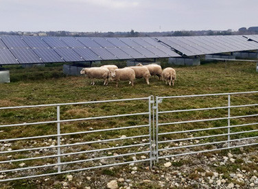 Agricultural PV solutions