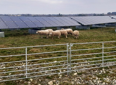 Agri-PV VSB énergies nouvelles