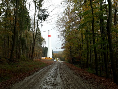 Betonabschnitt eines WEA-Turms im Wald