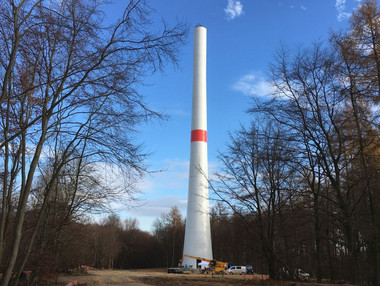 Betonabschnitt eines WEA-Turms im Wald