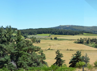 Projet éolien La Montagne de Sasses