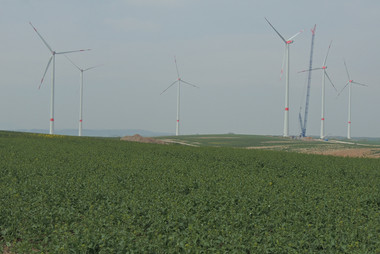 Blick über ein Feld mit sechs Windenergieanlagen