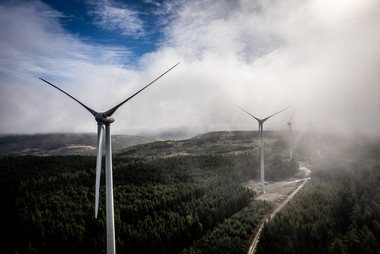 [Translate to English:] 