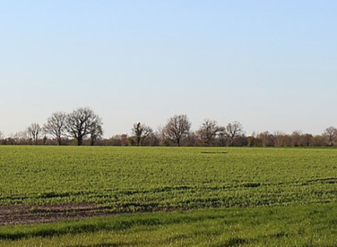 Projet parc éolien Nieul-le-Dolent