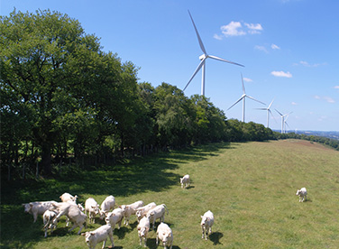 Actualité VSB énergies nouvelles développeur projets Enr renouvelables éolien photovoltaïque hydroélectrique